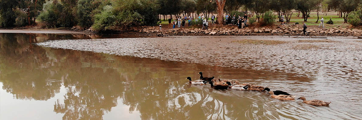 Church GOD'S LOVE Evangelical Christians Baptists, Haifa city ~ Israel, news -  ONLY BE SOLID AND VERY COURAGE